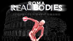 Real Bodies: i corpi (veri) in mostra a Roma